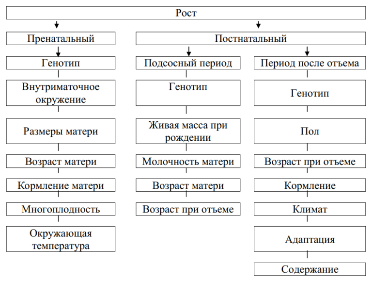 Интерьер сельскохозяйственных животных методы оценки