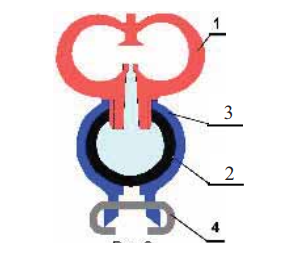 Схема узла бандажного соединения микродождевателя Ф-образной формы с поливным полиэтиленовым трубопроводом