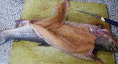 Для определения запаха вырезают кусочек мяса рыбы