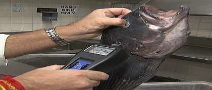 Определение радиации рыбы