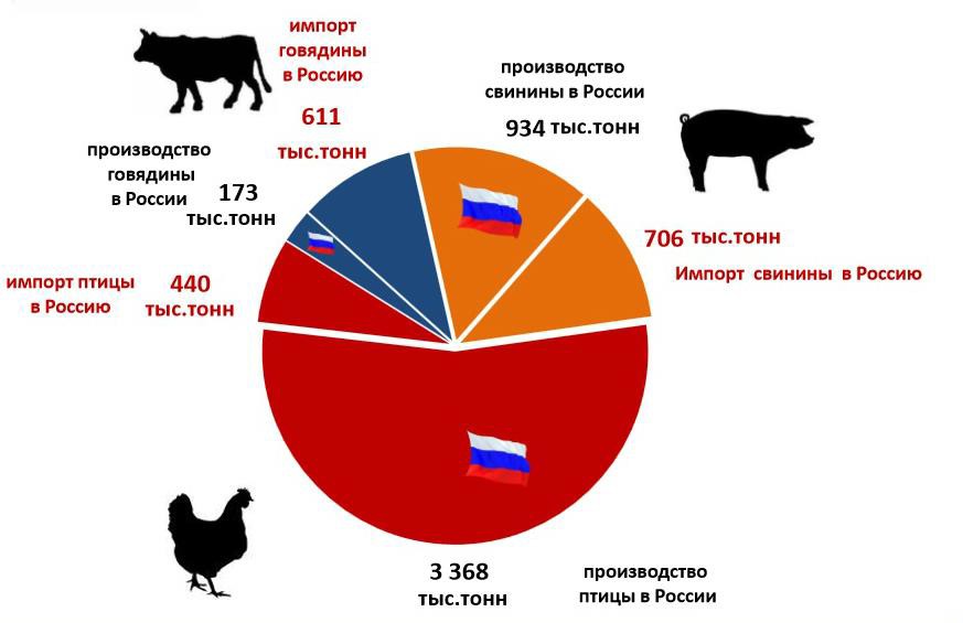 Производство и импорт мяса в РФ