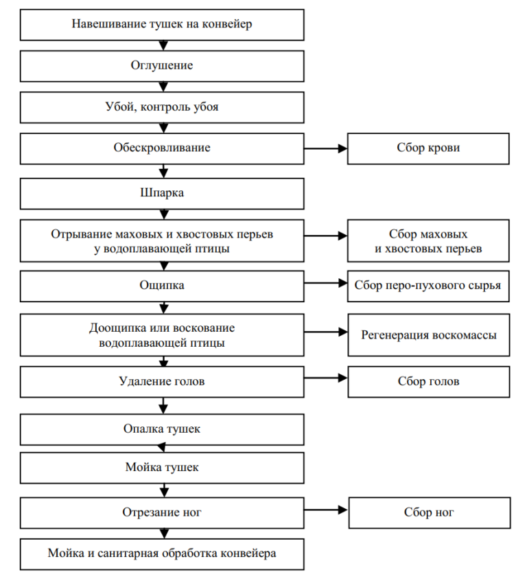 Технологическая схема убоя птицы