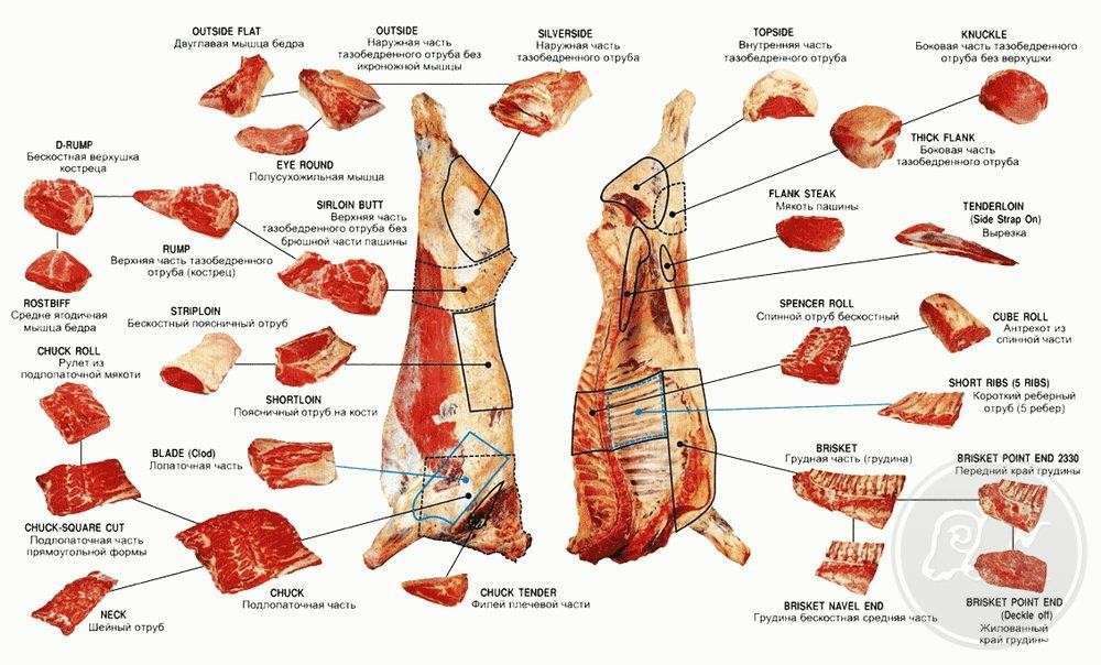 Схема разделки говядины на отрубы
