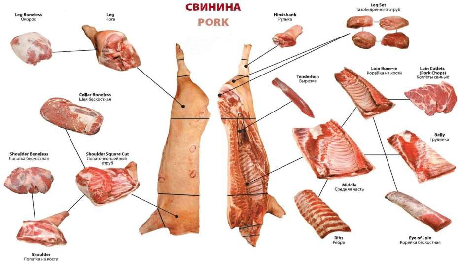 Схема разделки свинины на отрубы