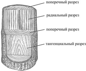 Рисунок на поверхности древесины образованный в результате перерезания годичных колец и волокон