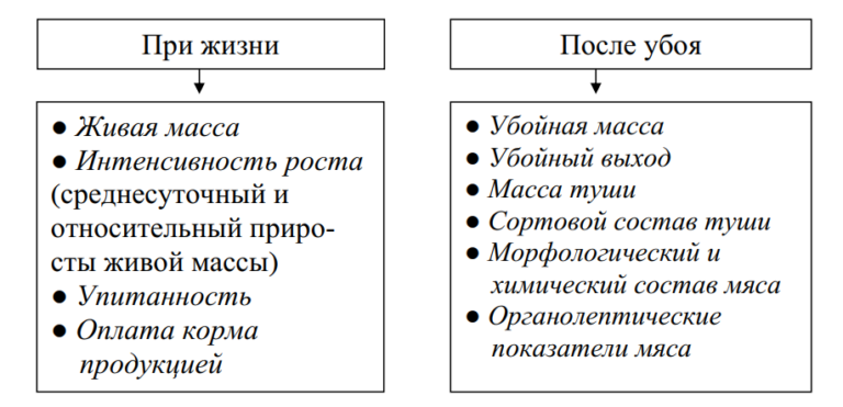 Схема крупный рогатый скот