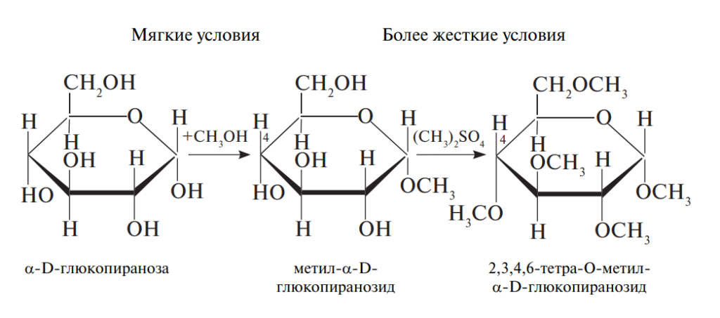 Сахарозу подвергните гидролизу. Сахароза Тип гликозидной связи. Гликозидная связь в дисахаридах. Альфа и бета гликозидная связь. Мальтоза Тип гликозидной связи.