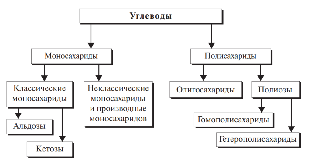 Схема 14 классификация углеводов