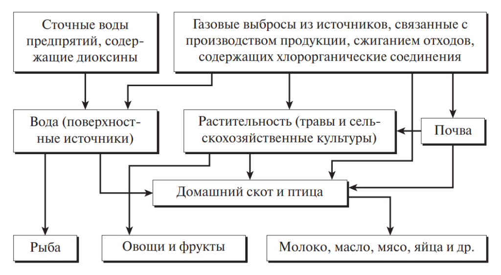 Передача токсичных веществ по пищевой цепи схема