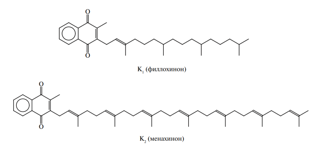 Витамины. Виды, свойства, характеристики витаминов