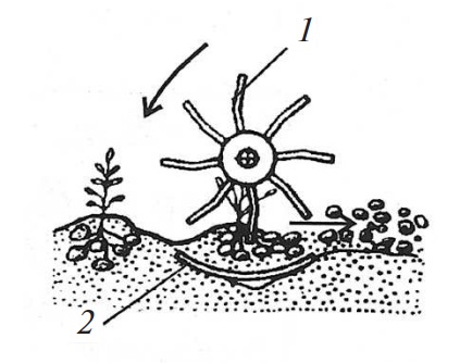 Схема рабочего процесса картофелекопателя КТН-1Б