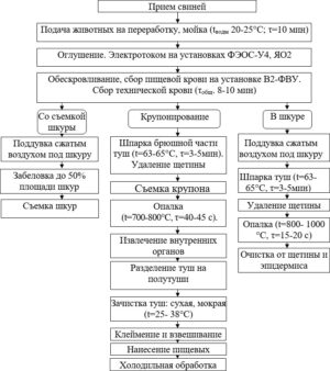 Технологическая схема переработки свиней