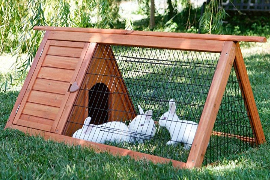 Клетка-садок для кроликов